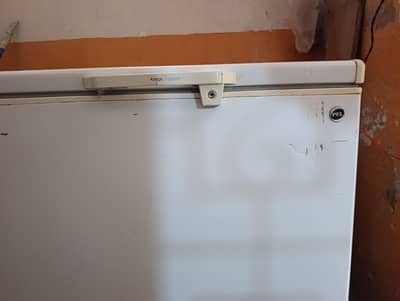 Pel deepfreezer single door