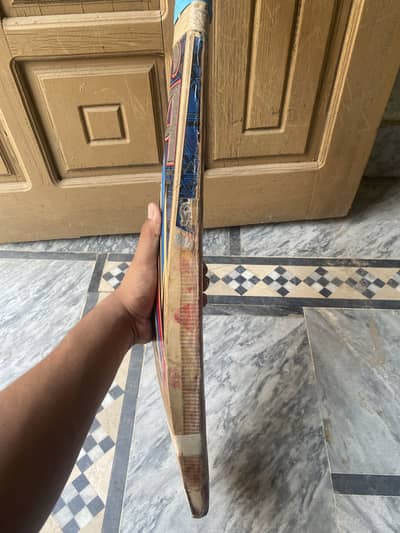 CA 5000 fully knocked English willow bat