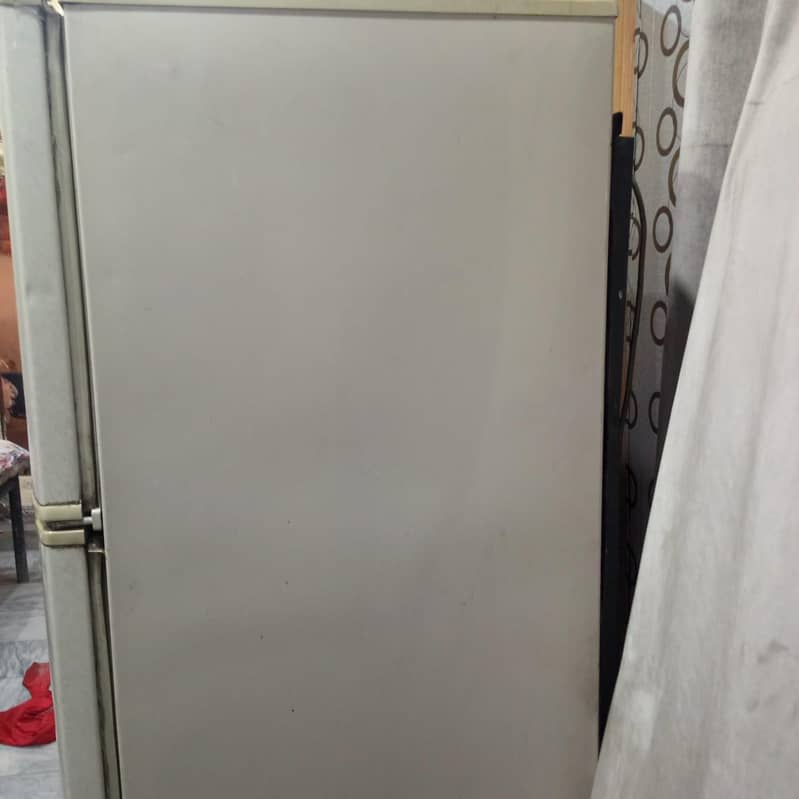 fridge 6