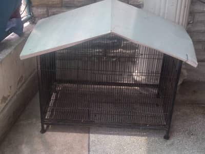cat cage