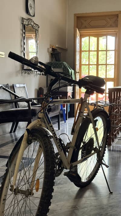 Phoenix 18speed bicycle