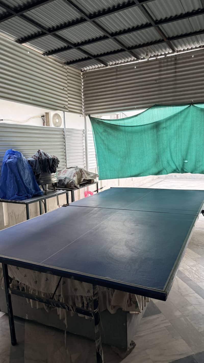 Table Tennis table 0