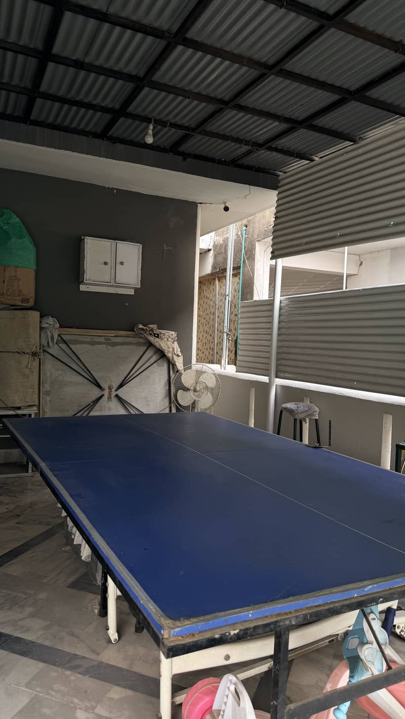 Table Tennis table 1