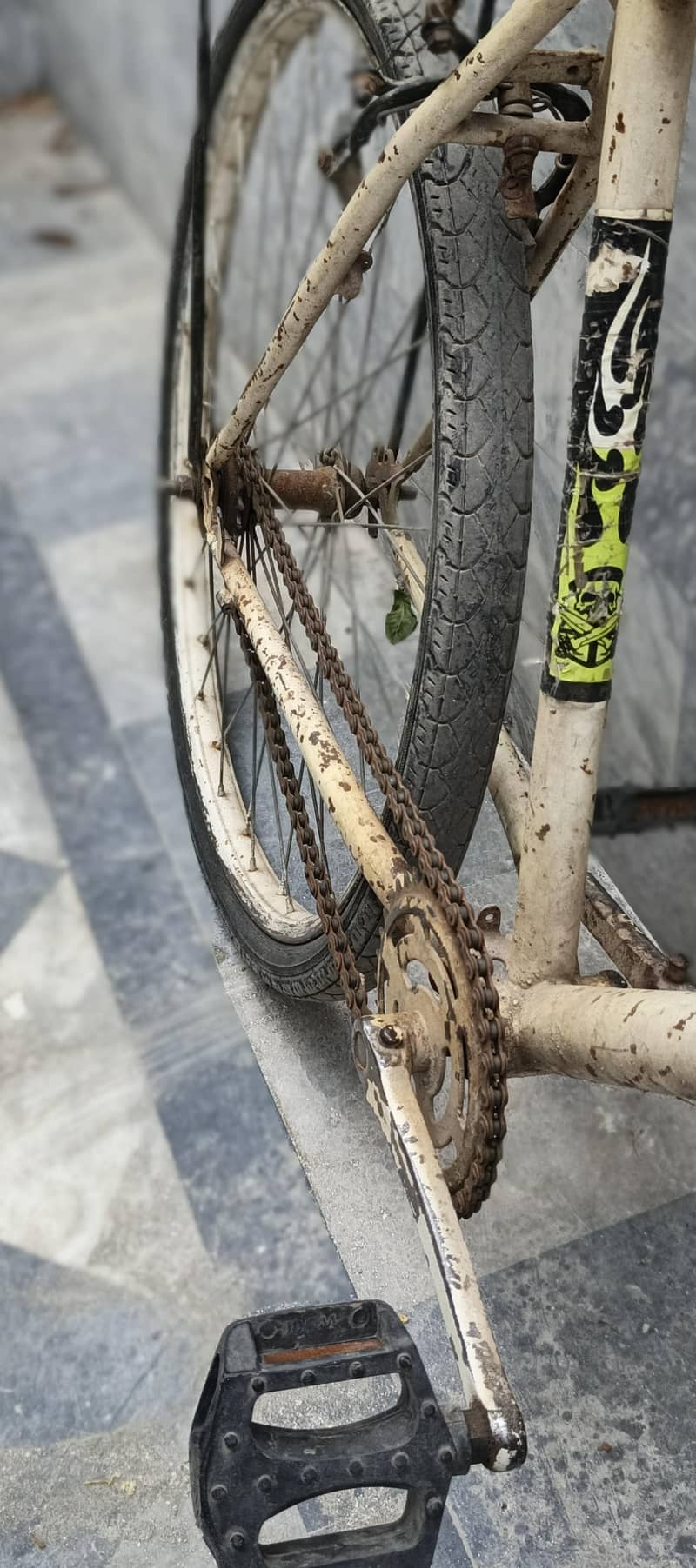 Wheeler Cycle 2