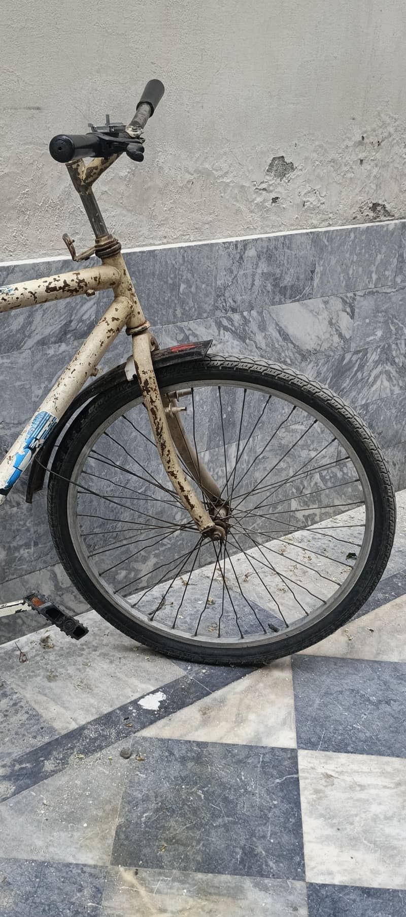 Wheeler Cycle 3