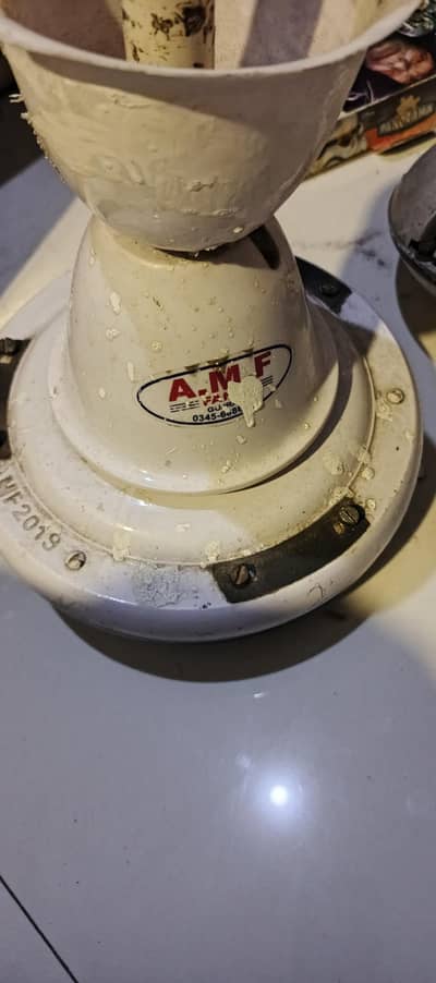 amf fans