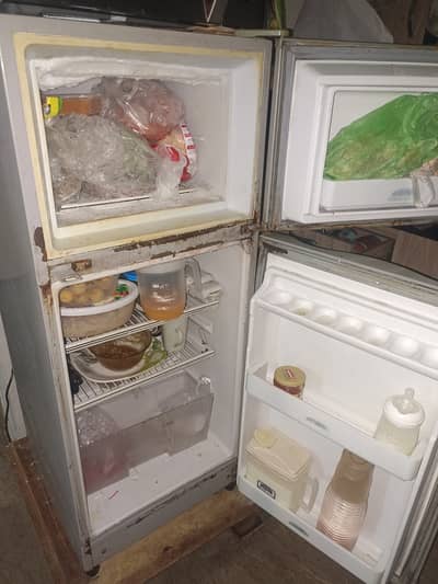 Fridge