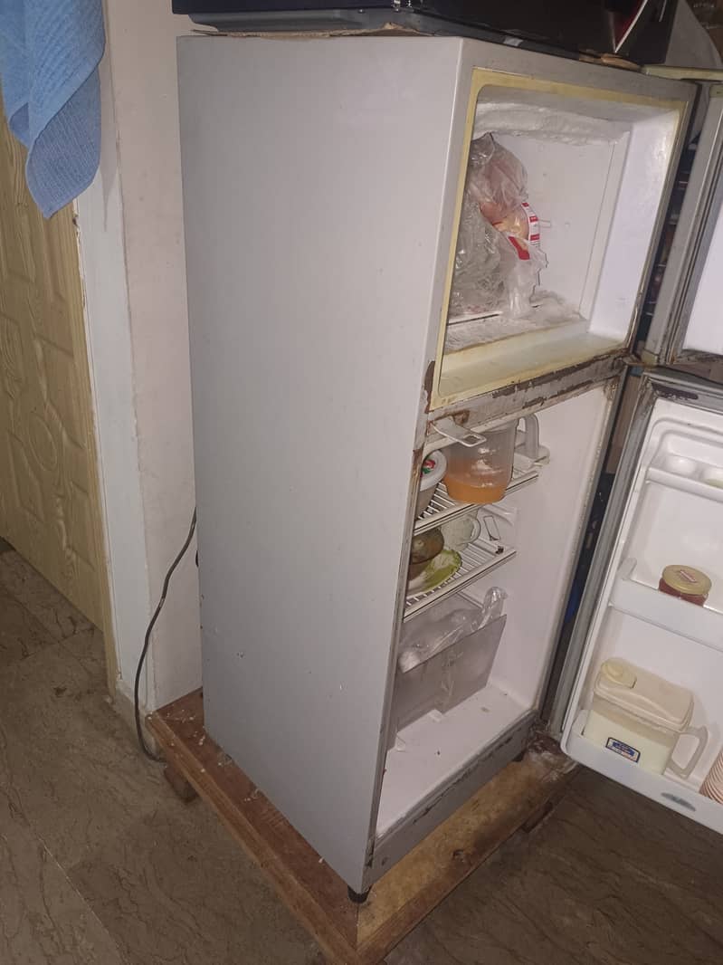 Fridge 1