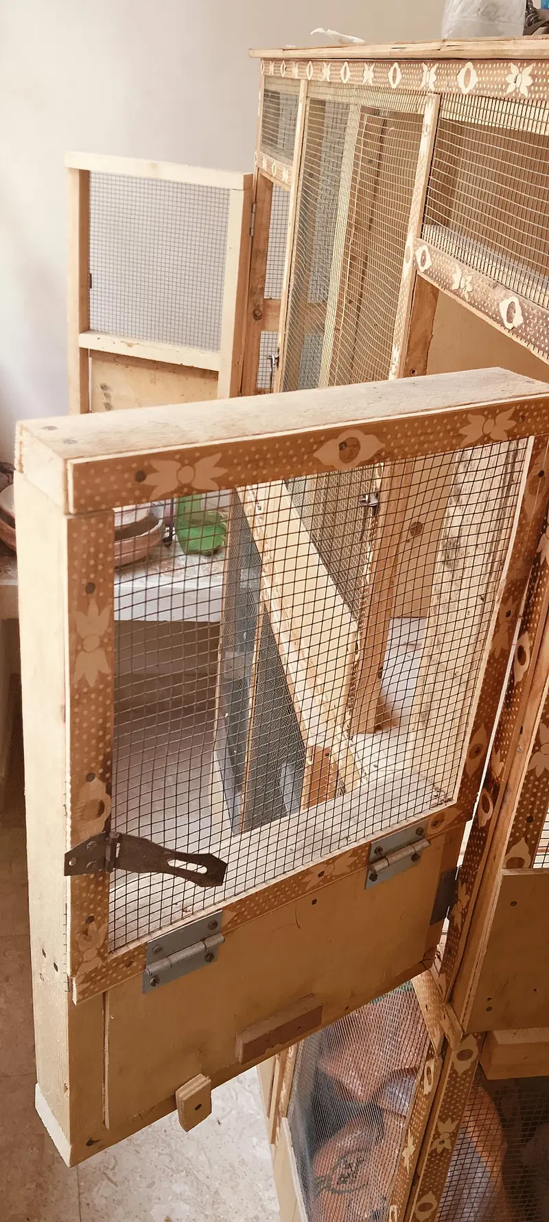 big cage/wooden cage/bird cage/birds cage/handmade cage/pinjra/Cage — photo 2