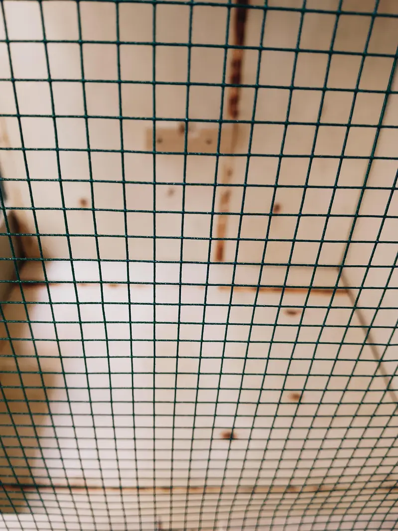 big cage/wooden cage/bird cage/birds cage/handmade cage/pinjra/Cage — photo 9