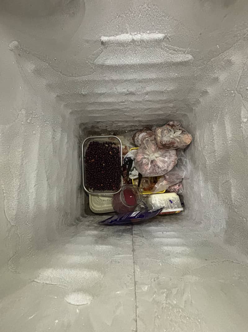 Dawlance Deep Freezer 2