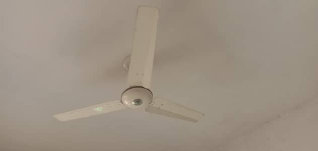 ceiling fans for sale