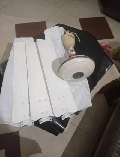Pak ceiling fan