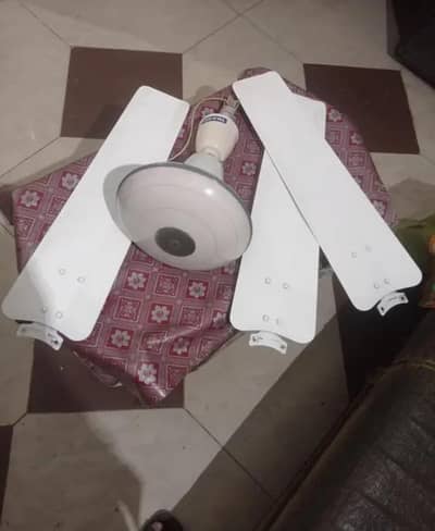 royal ceiling fan