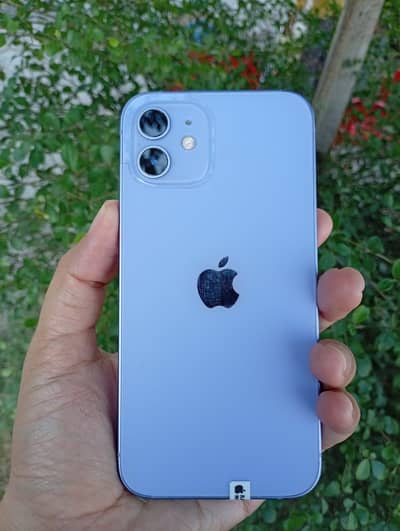 Apple iPhone 12