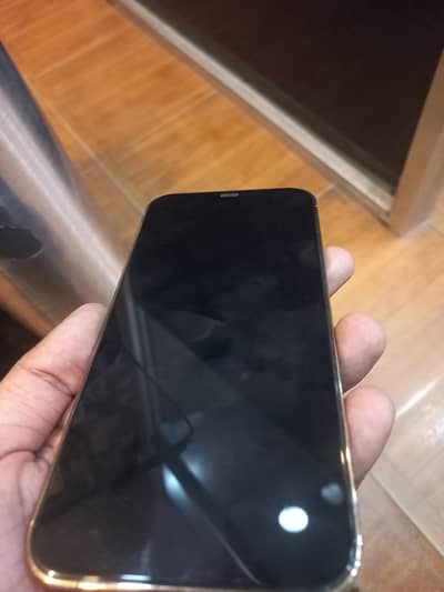 Apple iPhone 12 Pro Max