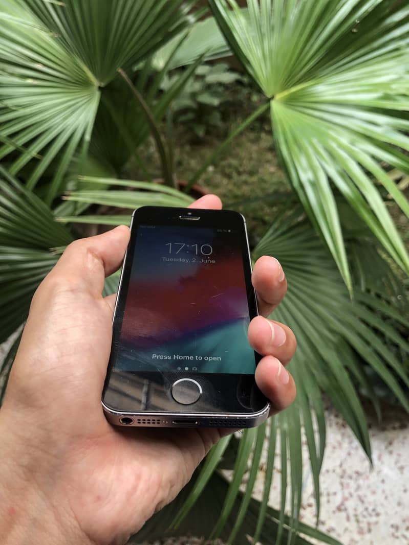 iPhone 5s 2