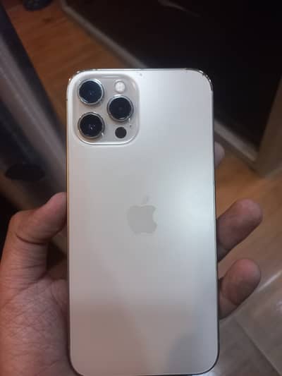 Apple iPhone 12 Pro Max