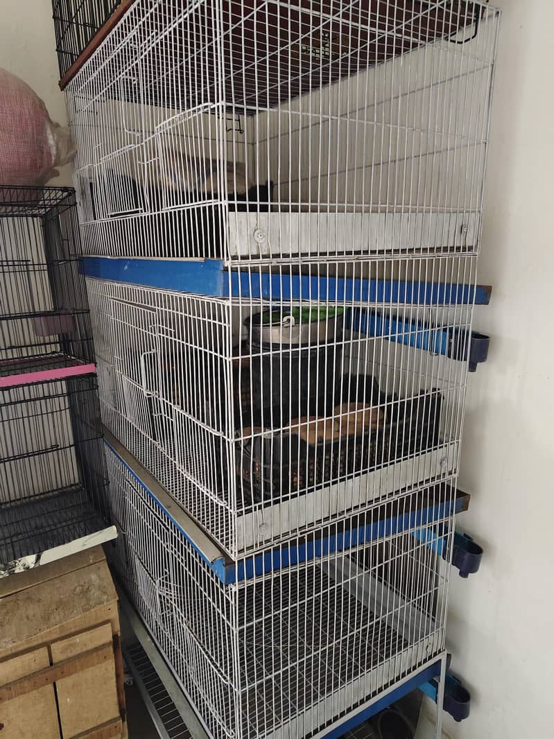 Hen cages 0