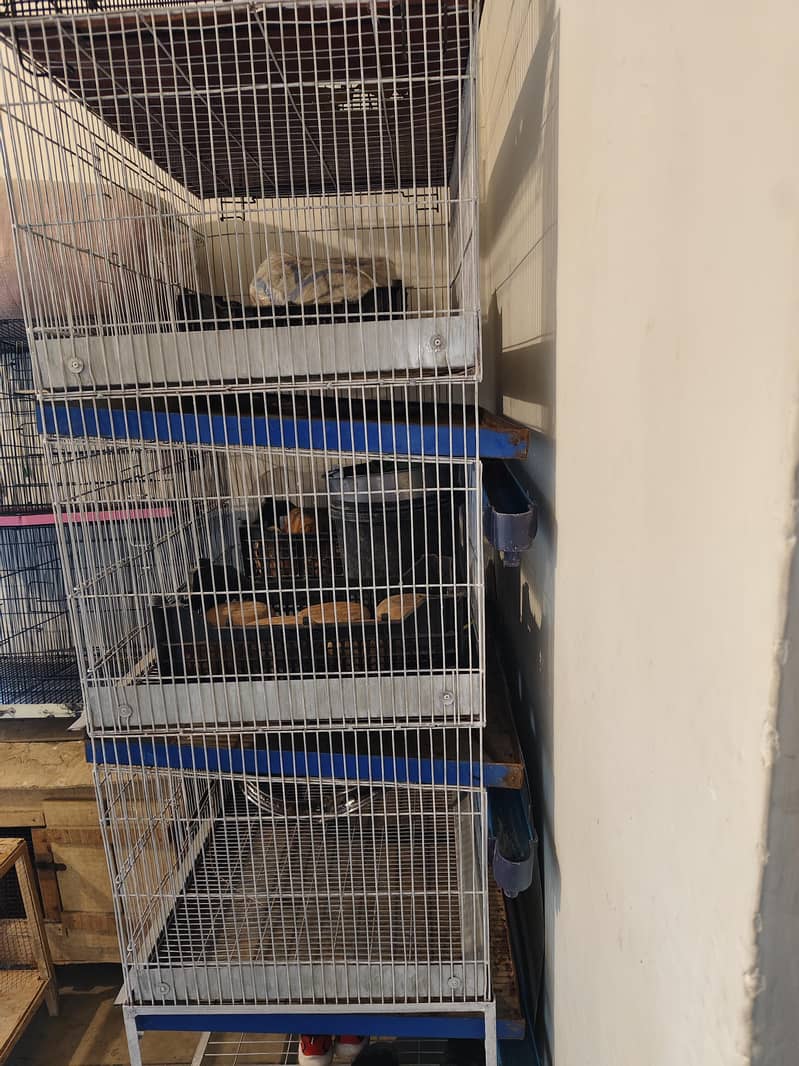 Hen cages 1