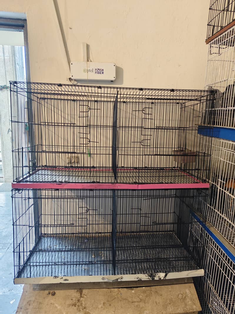 Hen cages 3
