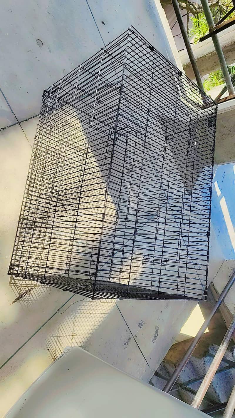 Hen cages 4