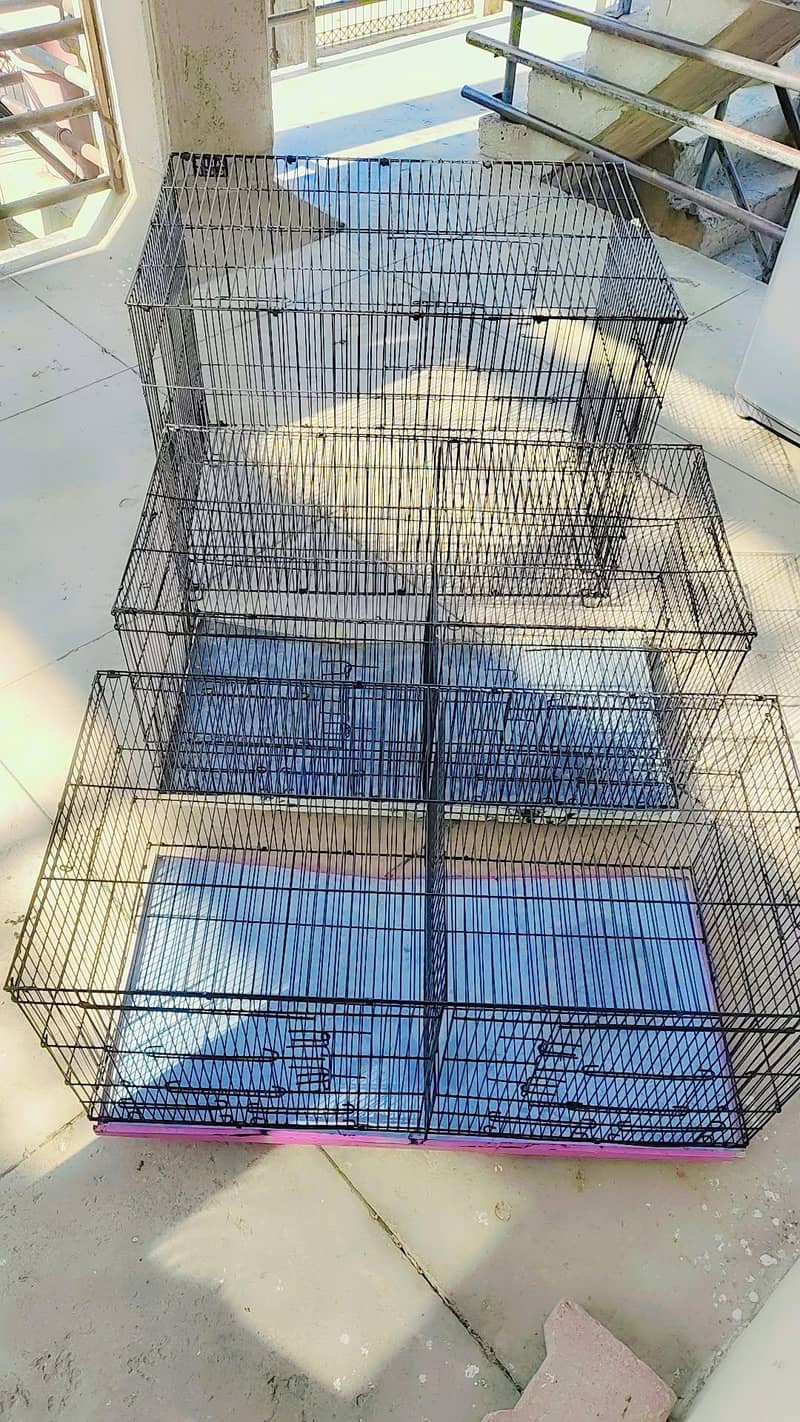 Hen cages 5