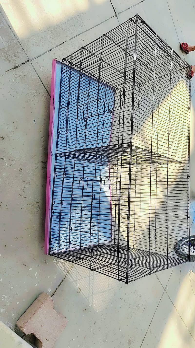Hen cages 6