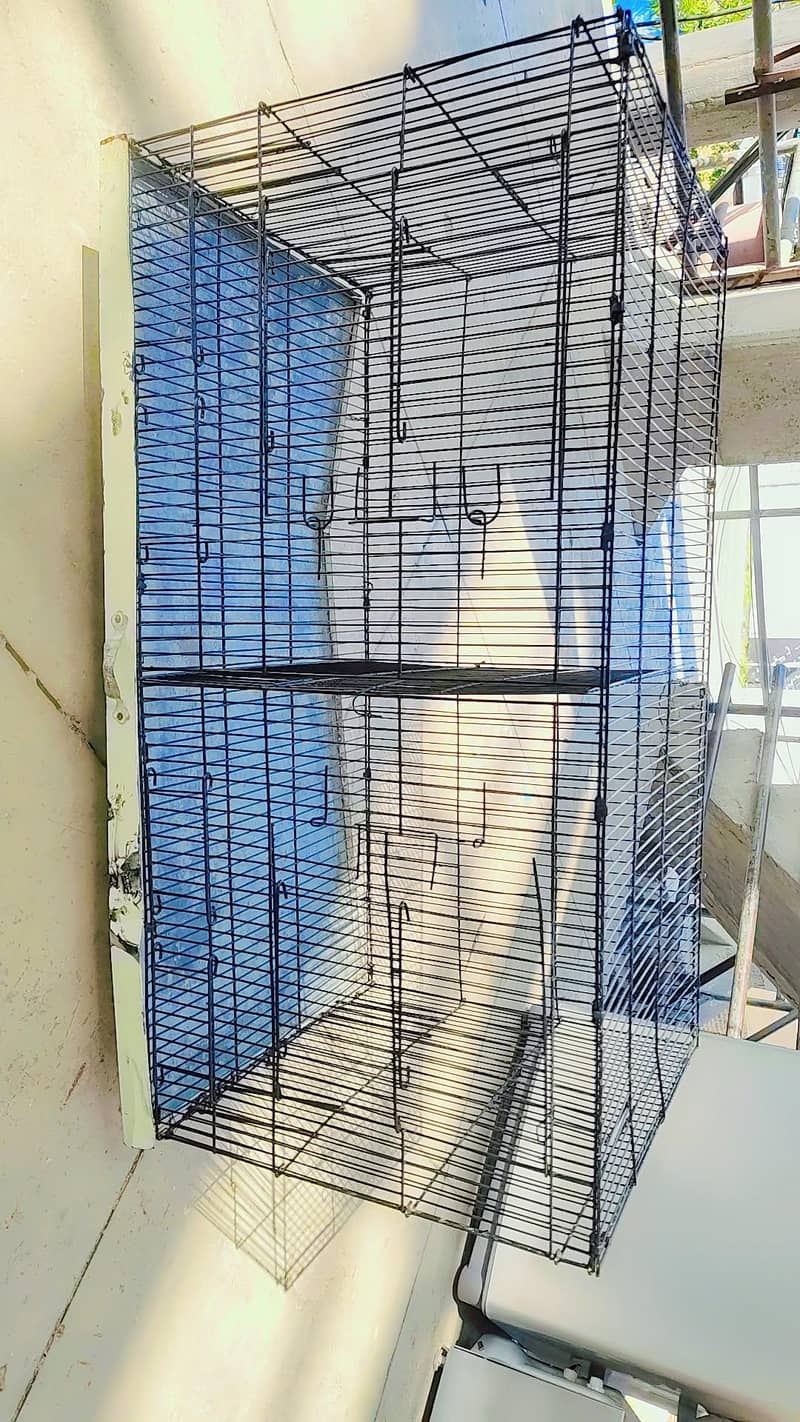 Hen cages 7
