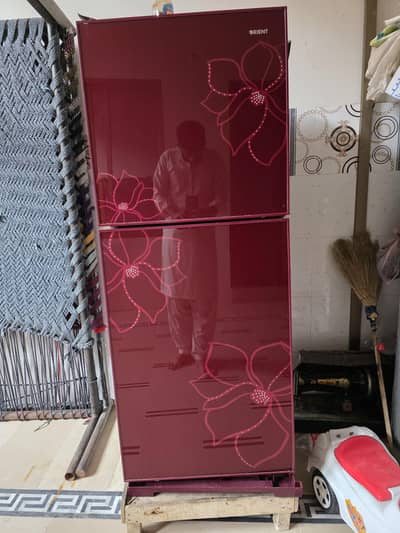 Orient glass door medium size Refrigerator