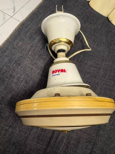 Royal fan ceiling