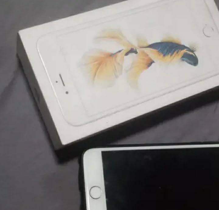 Apple iPhone 6S Plus 0