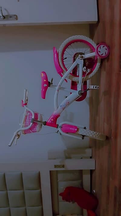 cycle