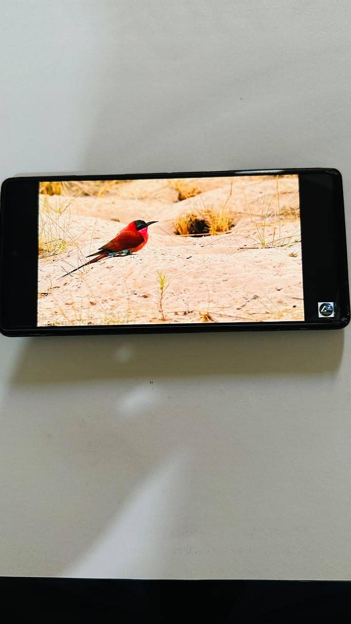 Google Pixel 6a 2