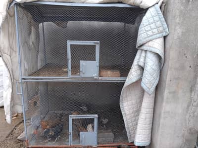 cage for sale