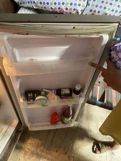 PEL FRIDGE