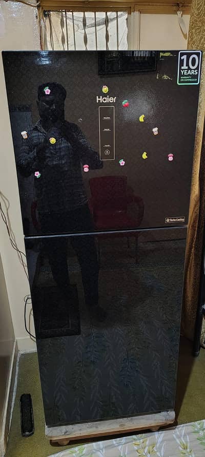 haeir refrigerator