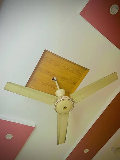 Ceiling fan