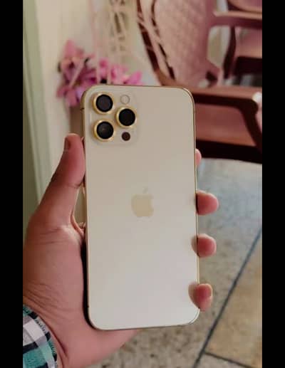 0320 7986019
