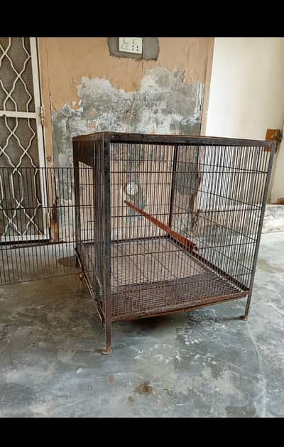 Iron cage at very reasonable price