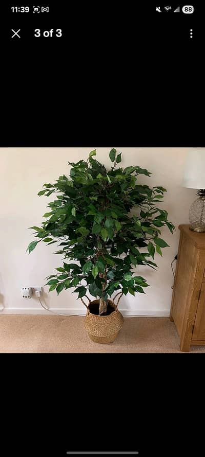 ##ArtificialPlants #FakePlants #HomeDecor #OfficeDecor