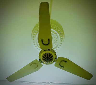 Ceiling fan high speed quality