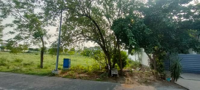Next To Corner DP Pole Clear - Most Developed Area Near 100ft Road Phase 6 MB Direct Approach Raya Fairways