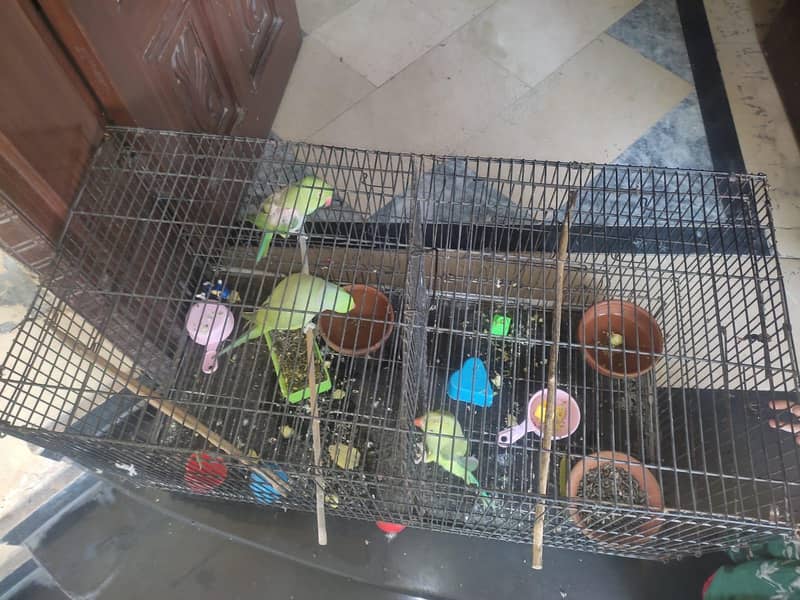 cage / rust proof cage 1