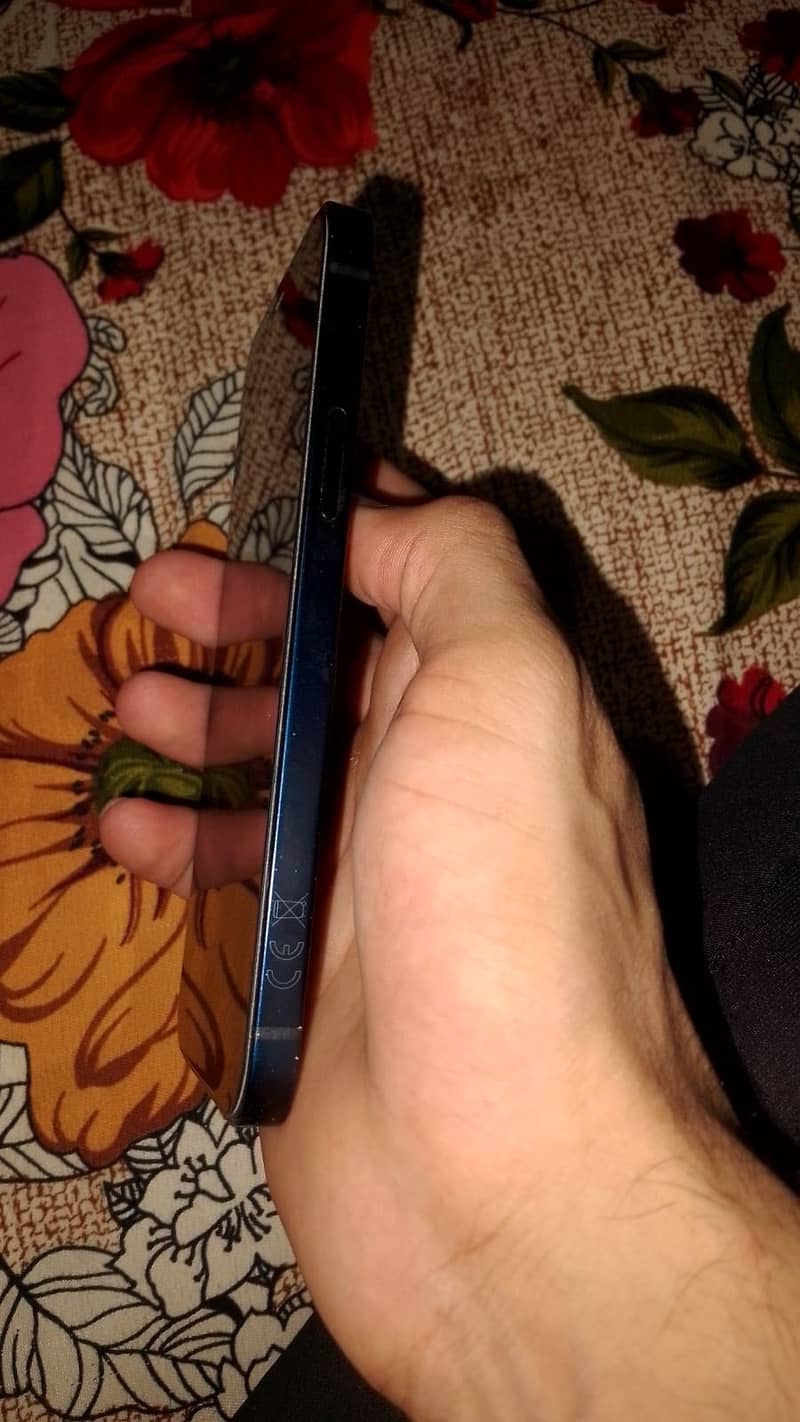 Apple iPhone 12 2