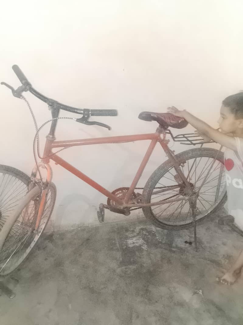 bicycle 2