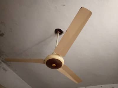 ceiling fan