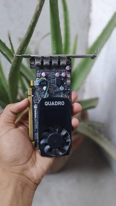 NVIDIA Quadro p620 10/9.5 condition look main na ke performance main