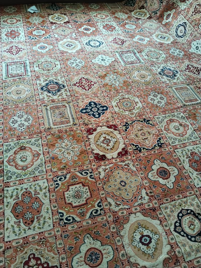 Carpet 0