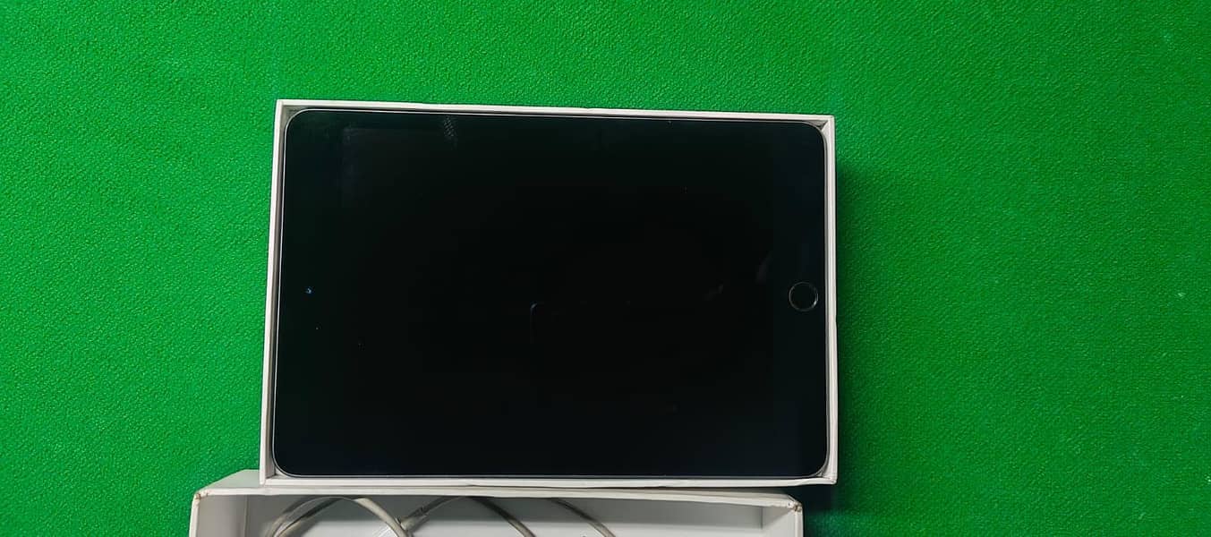 ipad mini 5 1